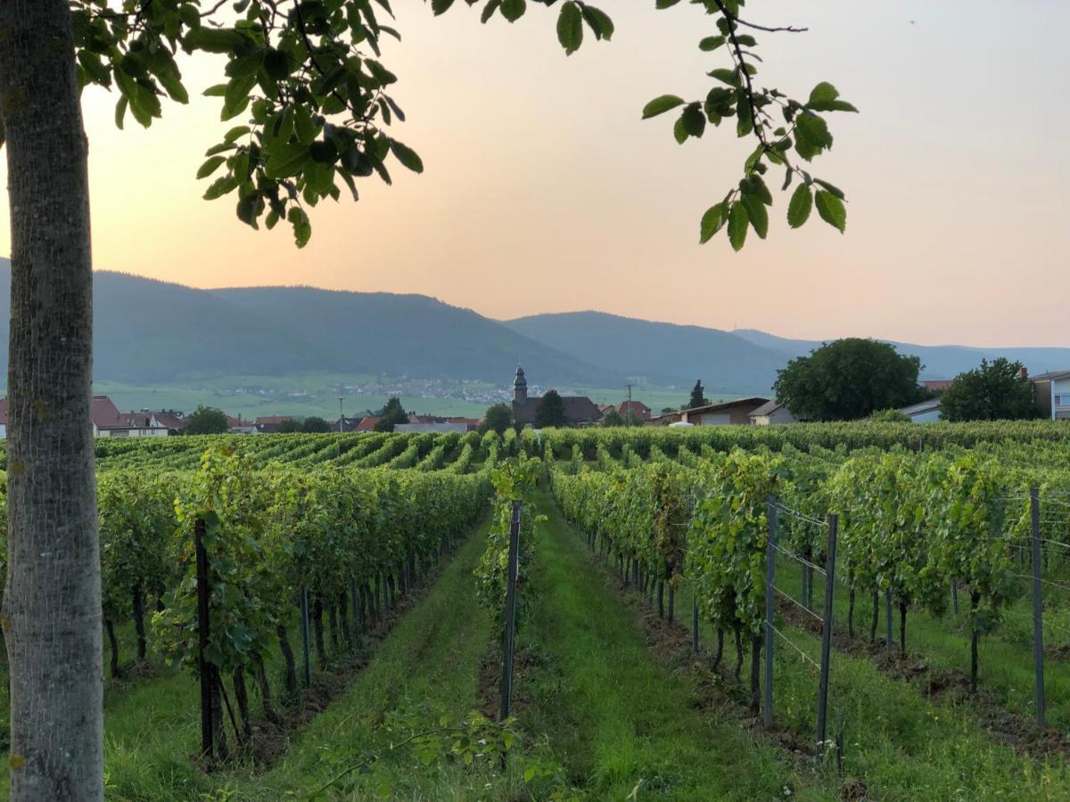 Ferienwohnung Suedpfalz Mit Fernblick Bochingen Eksteriør billede