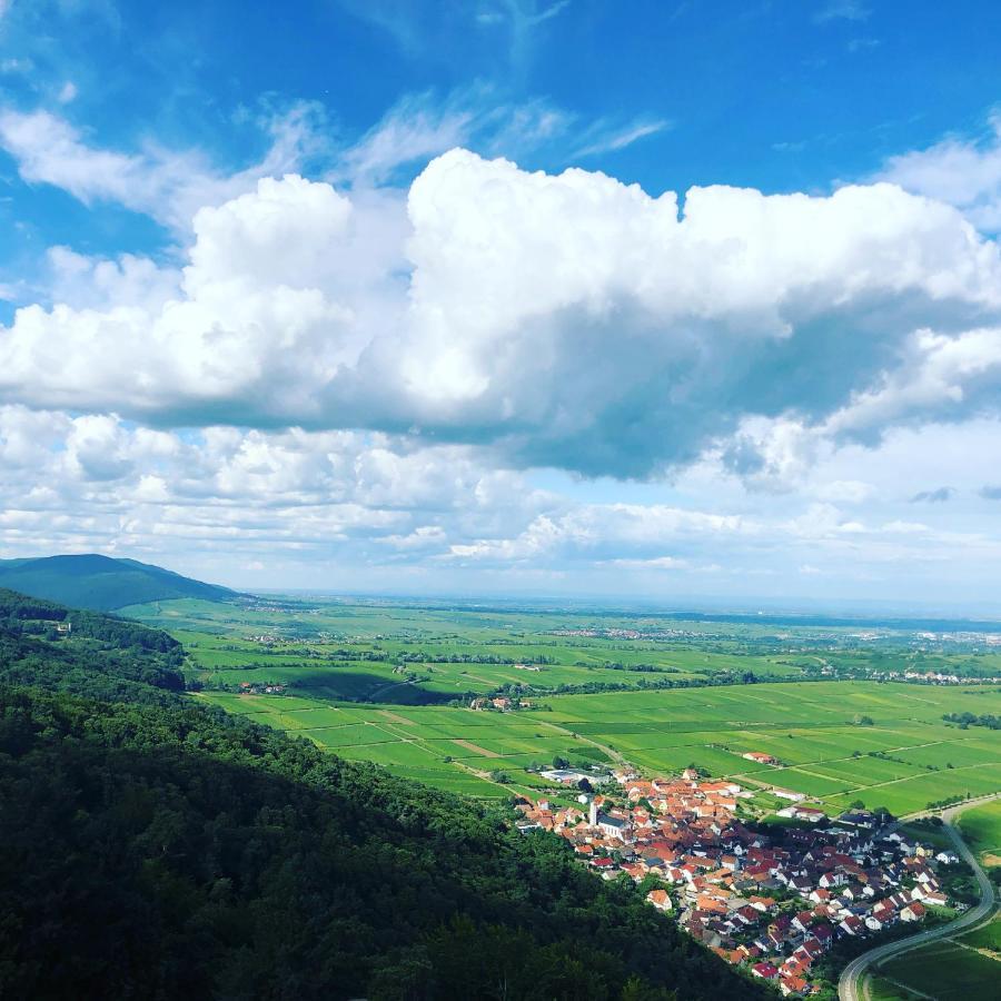 Ferienwohnung Suedpfalz Mit Fernblick Bochingen Eksteriør billede